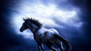 Preview wallpaper horse, blue, field