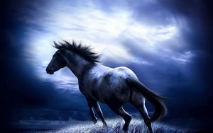 Preview wallpaper horse, blue, field