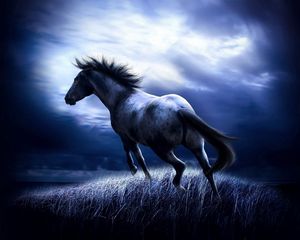 Preview wallpaper horse, blue, field