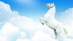 Preview wallpaper horse, clouds, jump