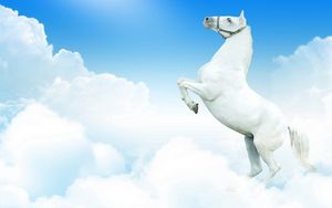 Preview wallpaper horse, clouds, jump