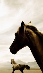 Preview wallpaper horse, couple, running, sky