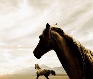 Preview wallpaper horse, couple, running, sky