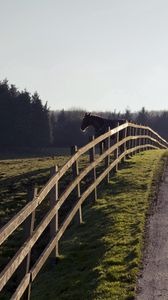 Preview wallpaper horse, fence, road