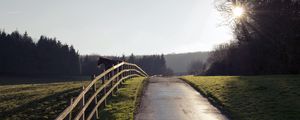 Preview wallpaper horse, fence, road