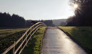 Preview wallpaper horse, fence, road