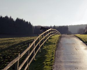 Preview wallpaper horse, fence, road