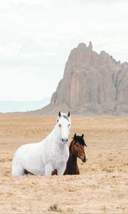 Preview wallpaper horse, horses, animals, rocks, sand