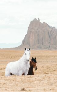 Preview wallpaper horse, horses, animals, rocks, sand