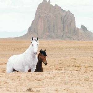 Preview wallpaper horse, horses, animals, rocks, sand