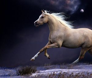Preview wallpaper horse, mane, running, beautiful, night, sky