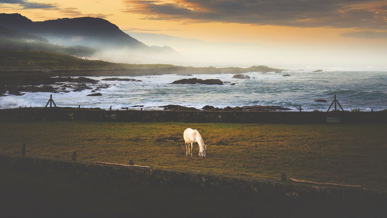 Wallpaper horse, meadow, sea, mountains