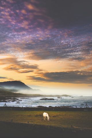320x480 Wallpaper horse, meadow, sea, mountains