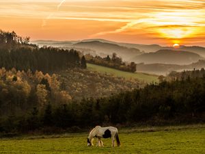 Preview wallpaper horse, mountains, field, sunset
