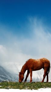 Preview wallpaper horse, mountains, snow, peaks, sky, fog, walk