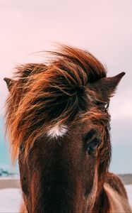 Preview wallpaper horse, muzzle, mane, eyes