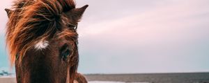Preview wallpaper horse, muzzle, mane, eyes