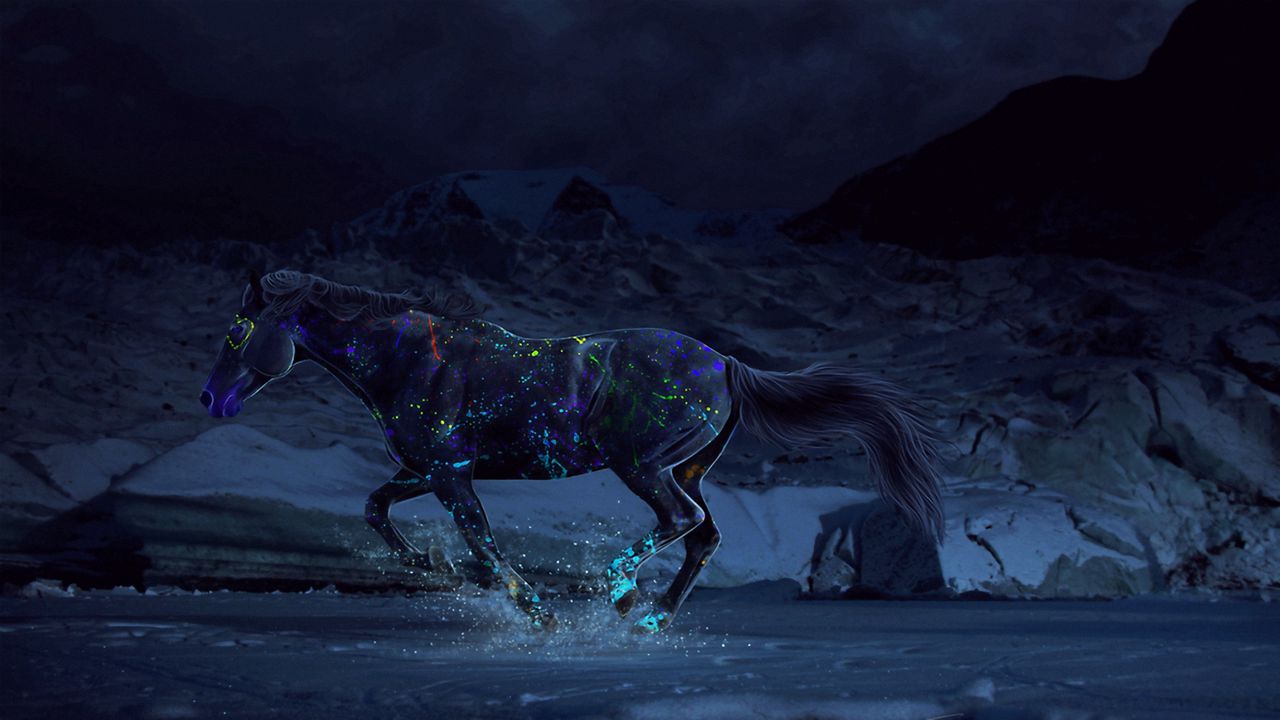 Wallpaper horse, paints, water, gallop, night
