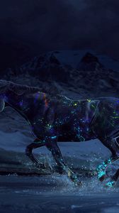 Preview wallpaper horse, paints, water, gallop, night