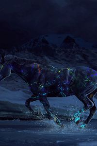 Preview wallpaper horse, paints, water, gallop, night