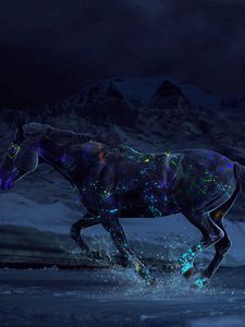 Preview wallpaper horse, paints, water, gallop, night