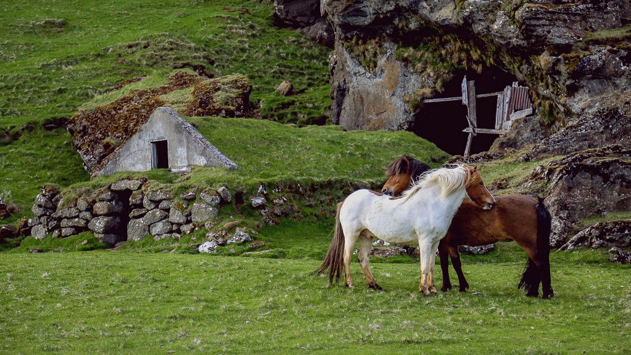 Wallpaper horse, pasture, farm, grass, structure