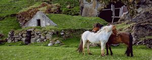 Preview wallpaper horse, pasture, farm, grass, structure