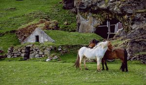 Preview wallpaper horse, pasture, farm, grass, structure