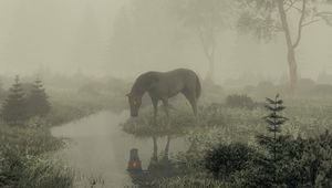 Preview wallpaper horse, pond, fog, trees, art