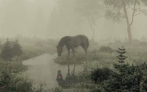 Preview wallpaper horse, pond, fog, trees, art