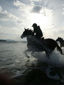 Preview wallpaper horse, rider, riders, sea, spray