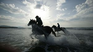 Preview wallpaper horse, rider, riders, sea, spray