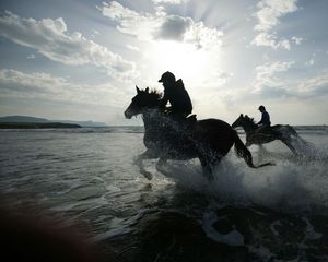 Preview wallpaper horse, rider, riders, sea, spray