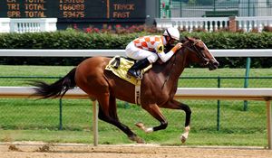 Preview wallpaper horse, riding, racing, mud