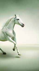 Horse Wallpaper for iPhone 11 Pro Max X 8 7 6  Free Download on  3Wallpapers