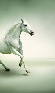 Preview wallpaper horse, running, couple
