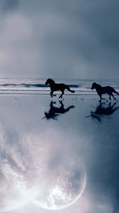 Preview wallpaper horse, sea, coast, couple, escape, evening