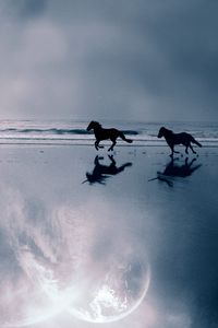 Preview wallpaper horse, sea, coast, couple, escape, evening