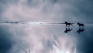 Preview wallpaper horse, sea, coast, couple, escape, evening