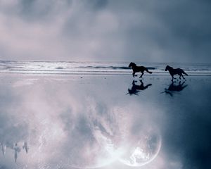 Preview wallpaper horse, sea, coast, couple, escape, evening