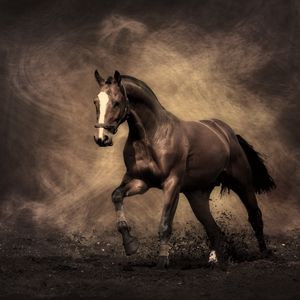 Preview wallpaper horse, shadow, smoke, dust, color