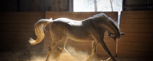 Preview wallpaper horse, stables, dust, color