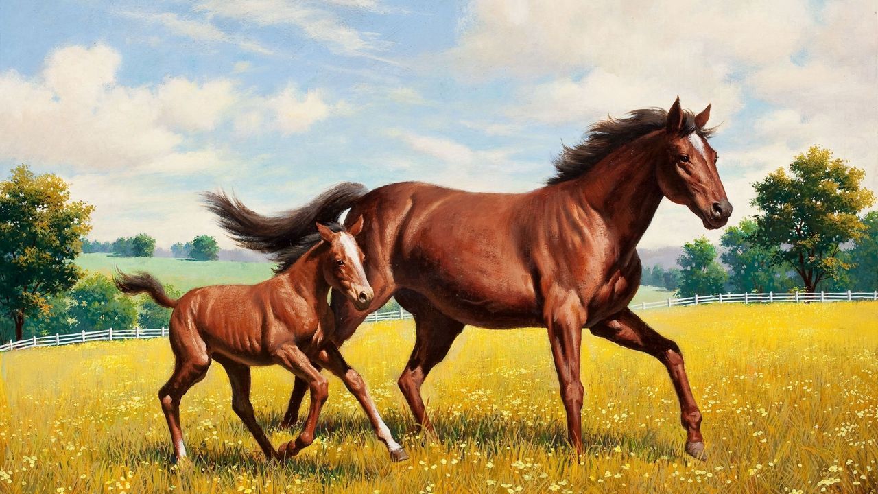 Wallpaper horse, stallion, grass, meadow, running