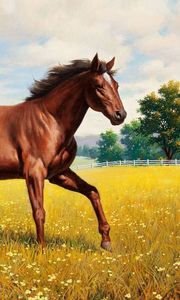 Preview wallpaper horse, stallion, grass, meadow, running