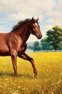 Preview wallpaper horse, stallion, grass, meadow, running