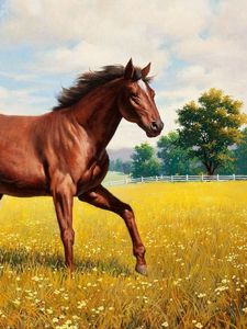 Preview wallpaper horse, stallion, grass, meadow, running