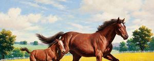 Preview wallpaper horse, stallion, grass, meadow, running