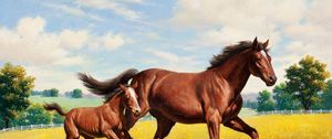 Preview wallpaper horse, stallion, grass, meadow, running