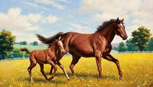 Preview wallpaper horse, stallion, grass, meadow, running