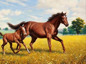 Preview wallpaper horse, stallion, grass, meadow, running